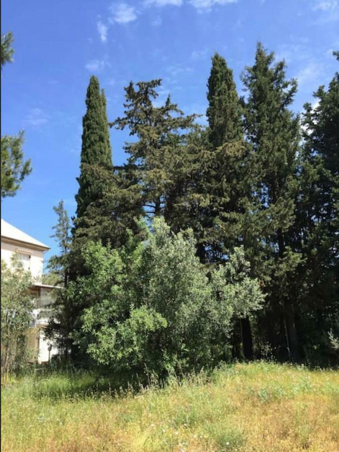 Villa Salomi Lefkada City Exterior photo